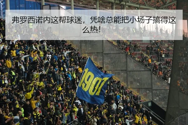 弗罗西诺内这帮球迷，凭啥总能把小场子搞得这么热！