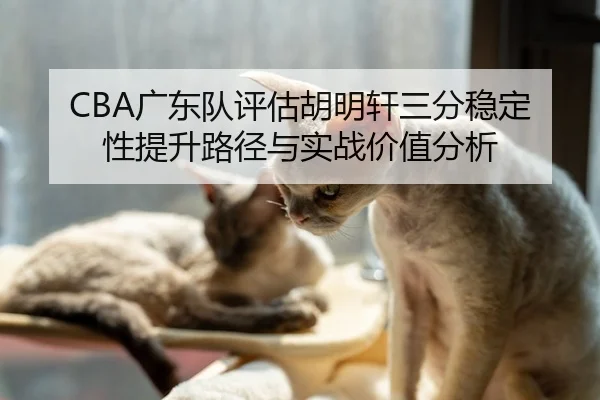 CBA广东队评估胡明轩三分稳定性提升路径与实战价值分析