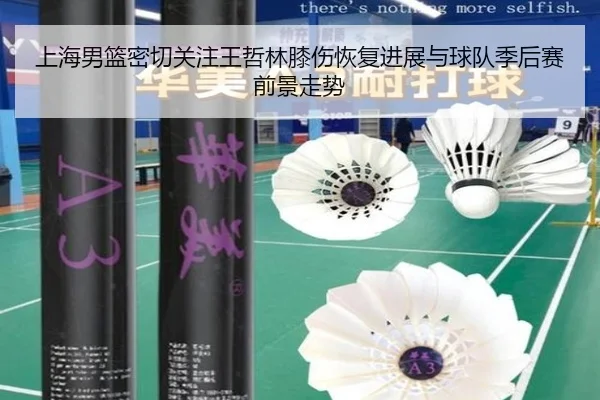 上海男篮密切关注王哲林膝伤恢复进展与球队季后赛前景走势