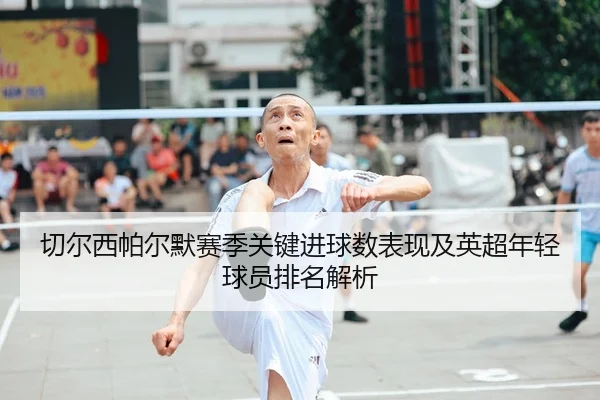 切尔西帕尔默赛季关键进球数表现及英超年轻球员排名解析
