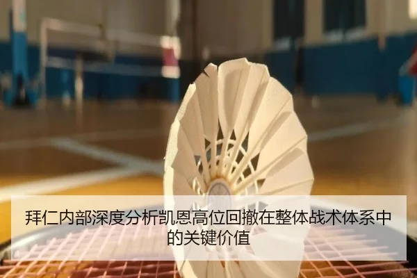 拜仁内部深度分析凯恩高位回撤在整体战术体系中的关键价值